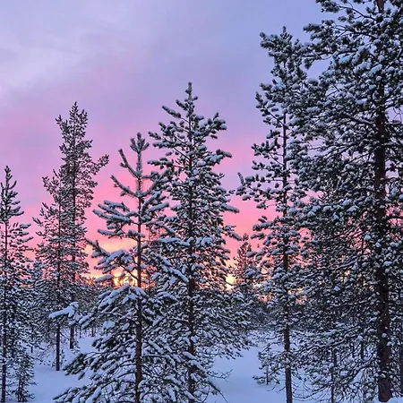 Paeivaensaede 8 Lapinkulta By Interhome * Äkäslompolo